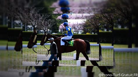 turf blogspot|pronostic quinté aujourd'hui en or.
